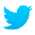 twitter caroline hulse joedaisy studio